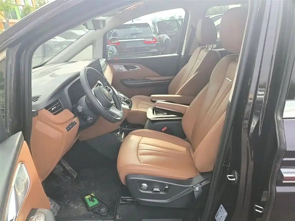 Hongqi HQ9 PHEV 2024 Model 2.0T AWD Business Edition фото 15