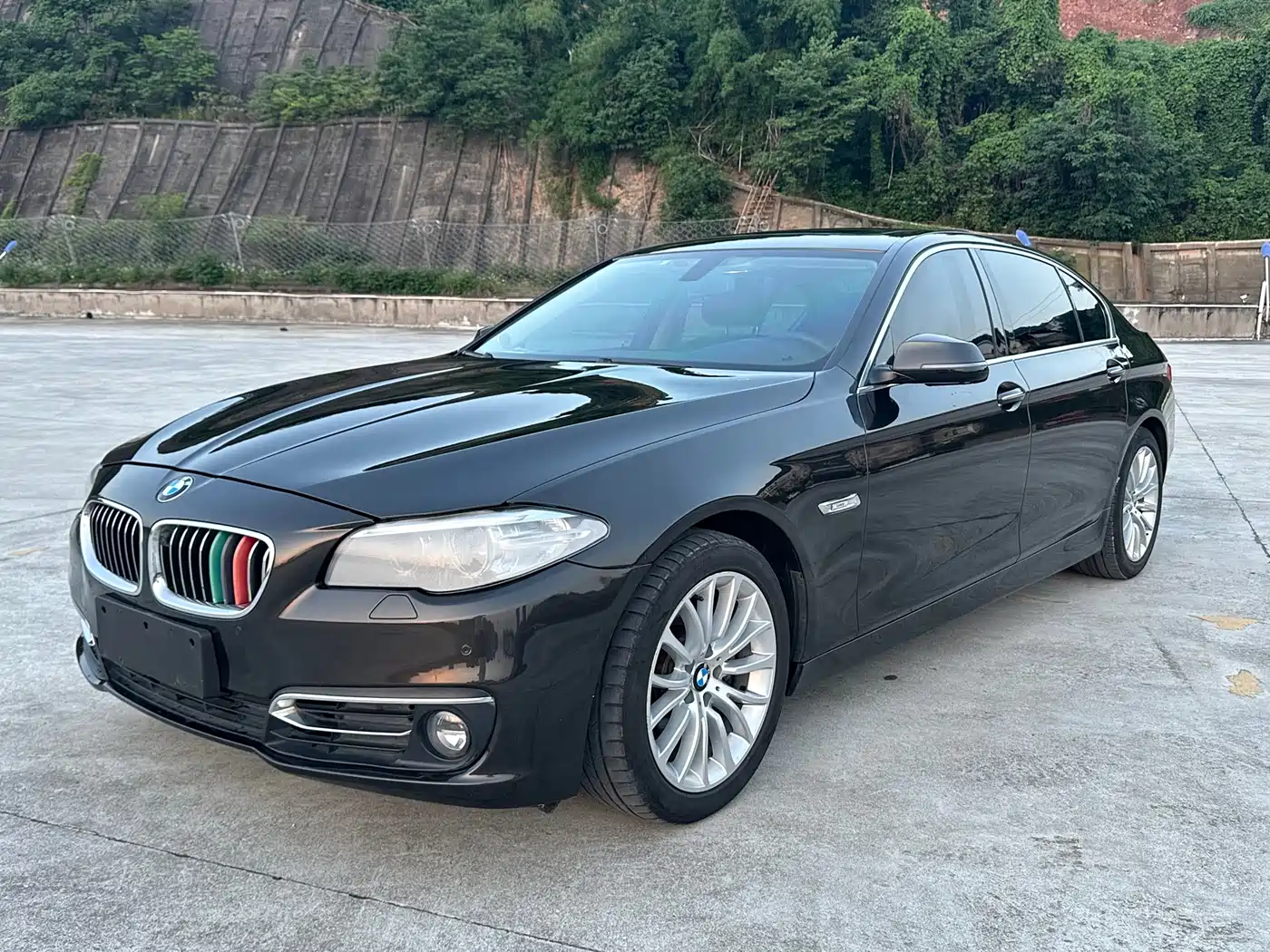 BMW 5 Series 2014 525Li Luxury Design Package