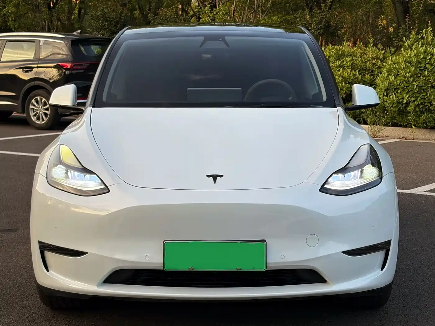 Tesla Model Y 2021 2021 Model Long Range AWD