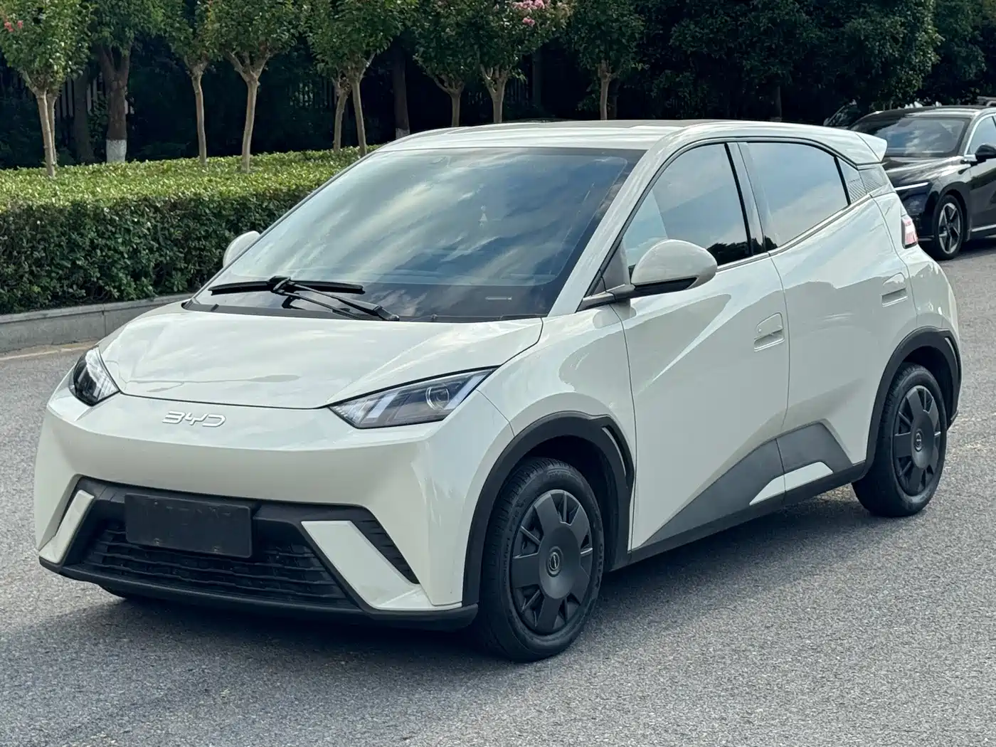 BYD Seagull 2024