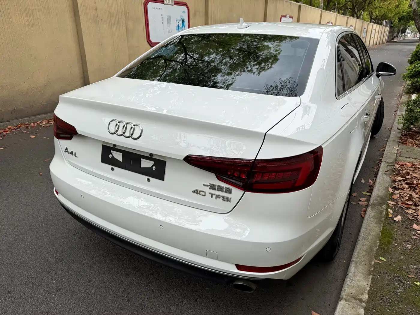 Audi A4L 2018 30th Anniversary 40 TFSI Progressive фото 11