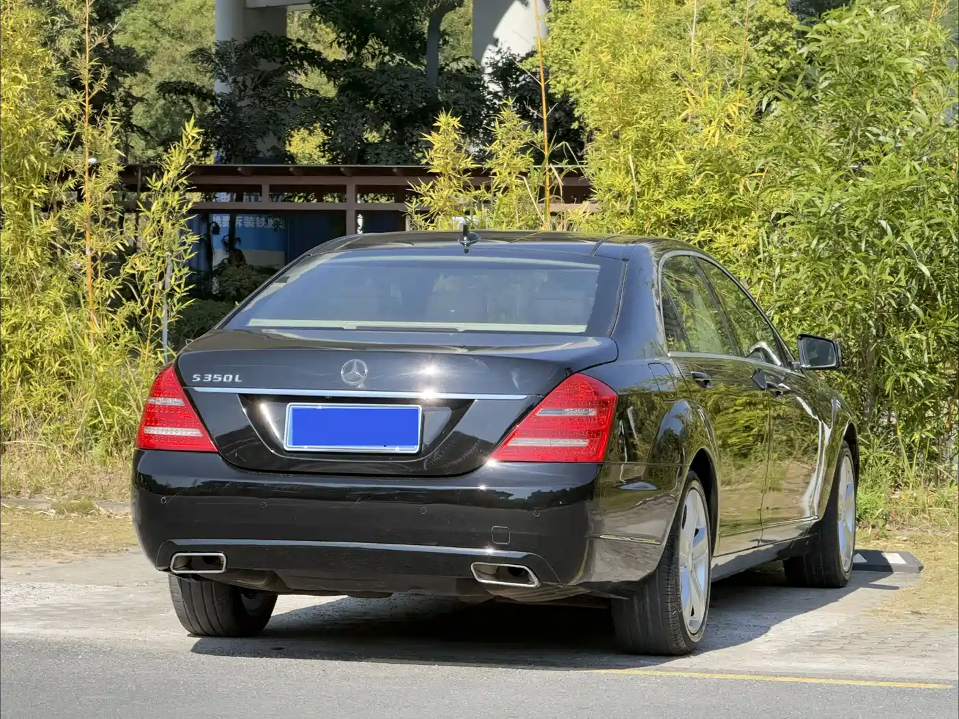 Mercedes-Benz S-Class 2012 S 300 L Luxury Grand Edition фото 19