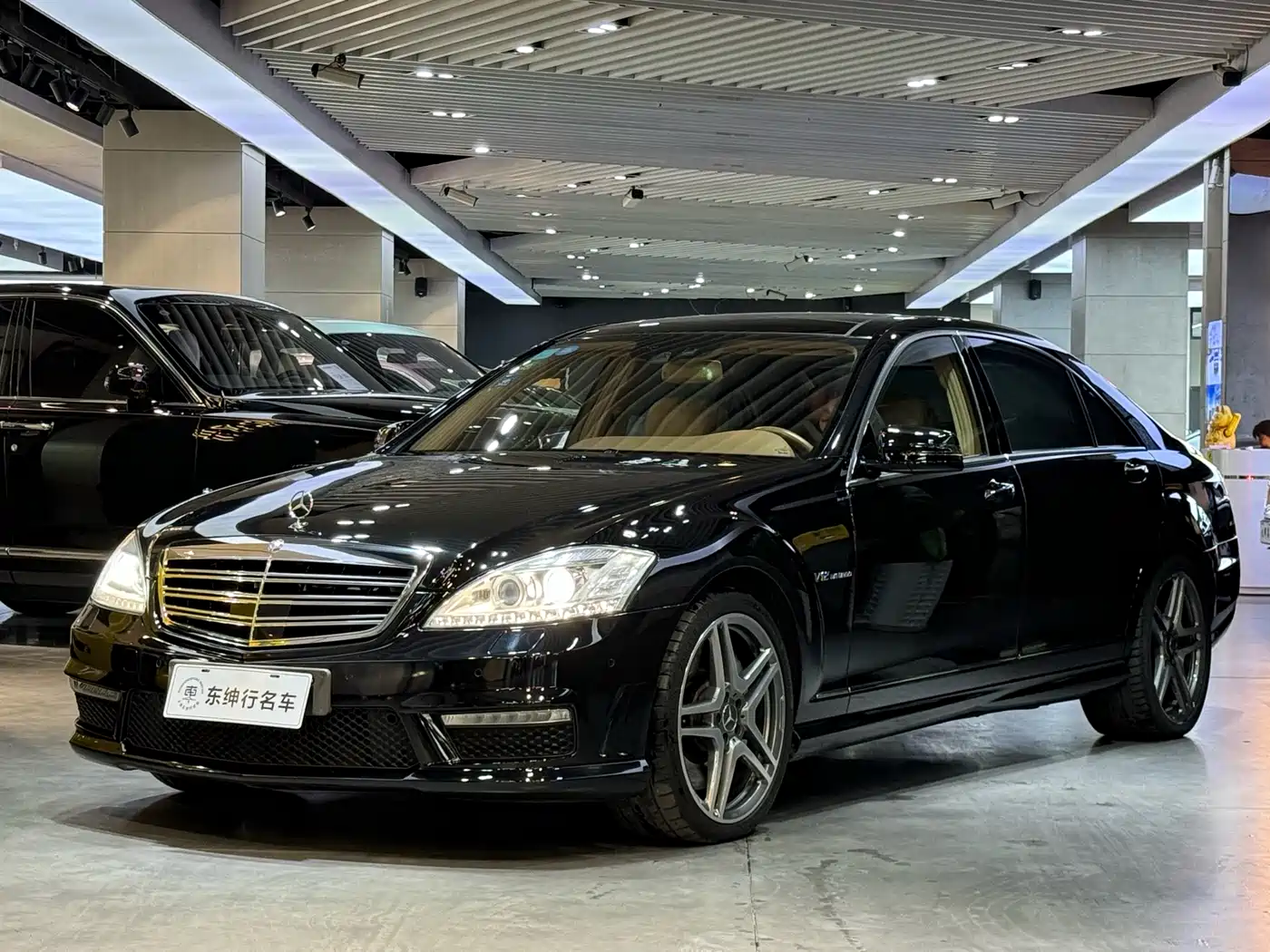 Mercedes-Benz S-Class AMG 2010 AMG S 65