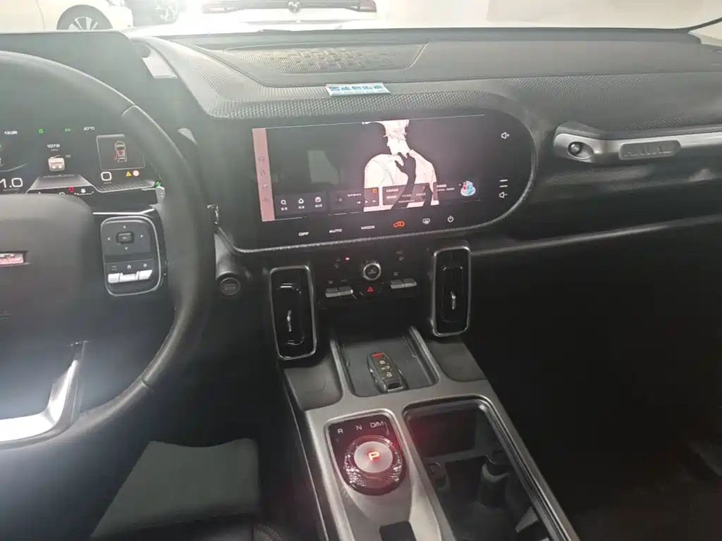 Haval Big Dog 2025 2024 1.5T DCT Border Collie Edition