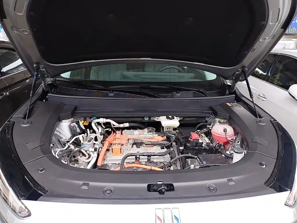 Фото 20 - Buick E5