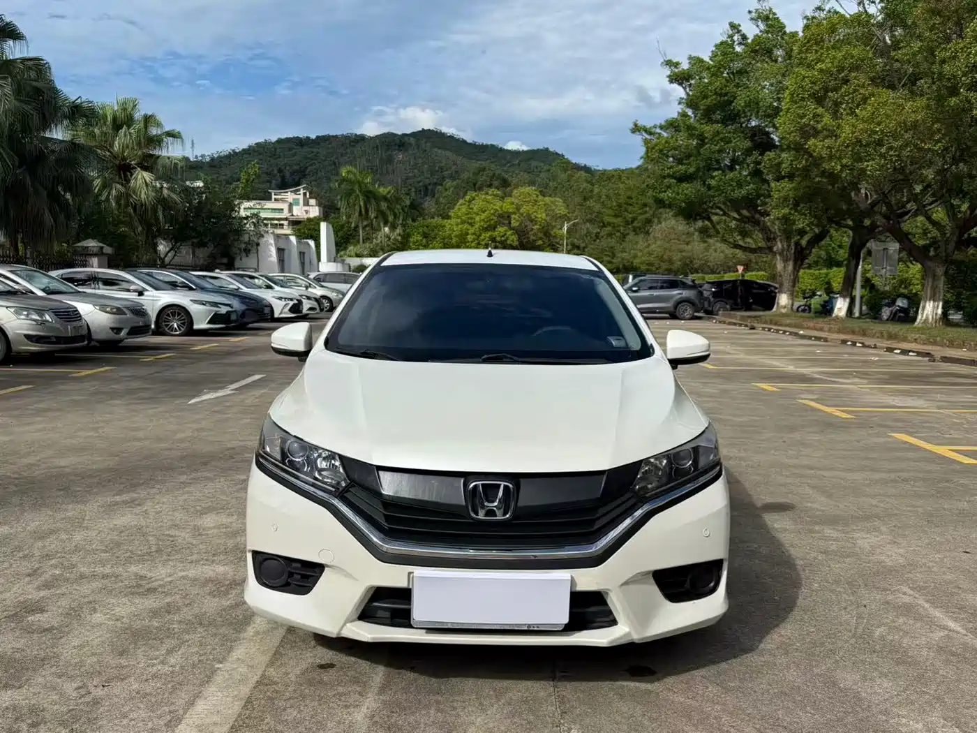 Фото 2 - Honda Greiz