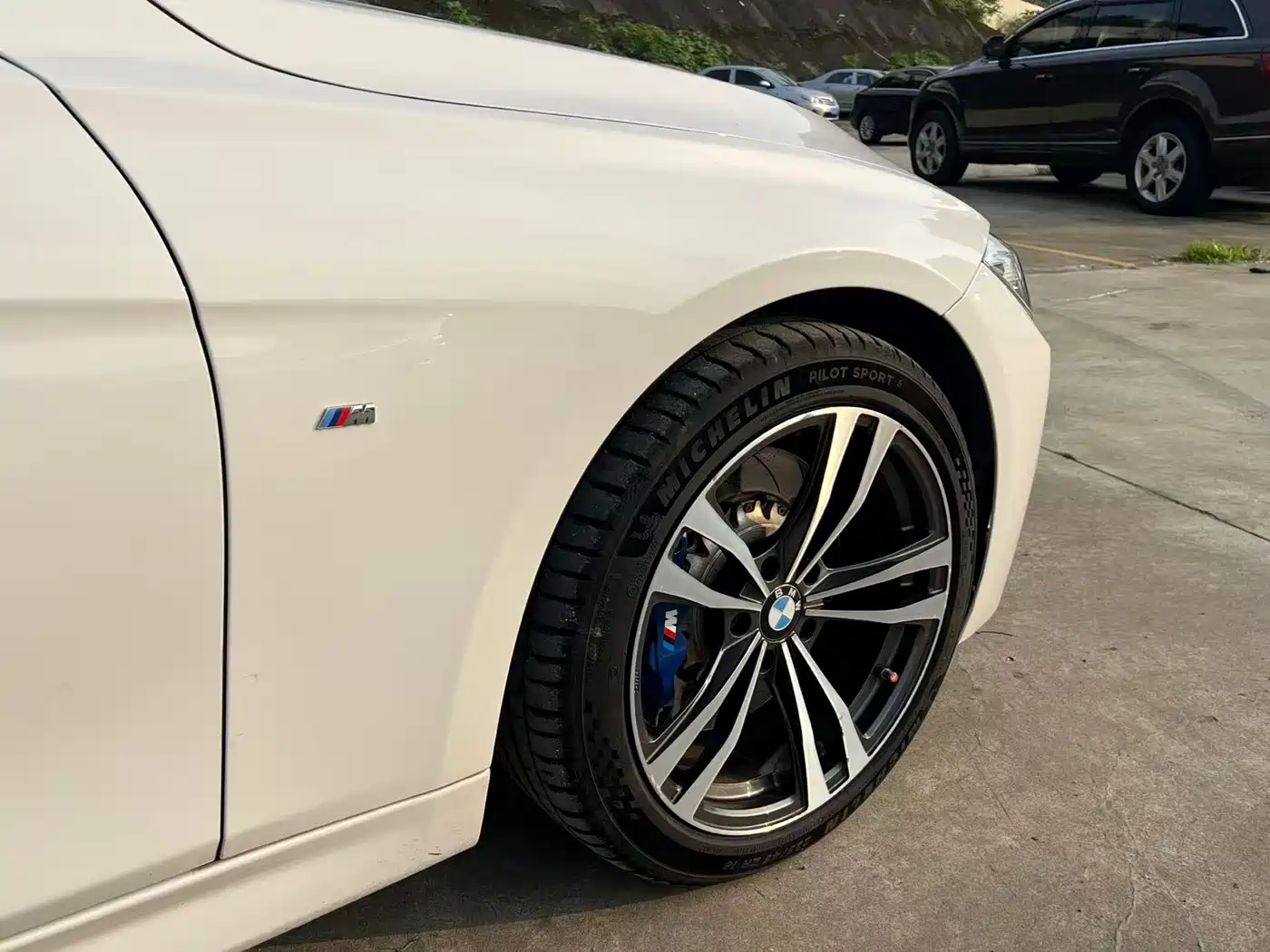 BMW 3 Series 2018 330Li M Sport Black Night Edition фото 11