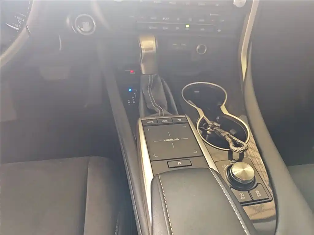 Lexus RX 2020 Facelift 300 2WD Elite Edition фото 14