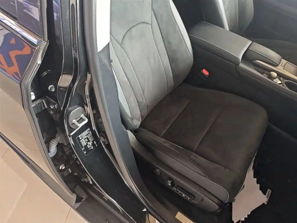 Lexus RX 2020 Facelift 300 2WD Elite Edition фото 25