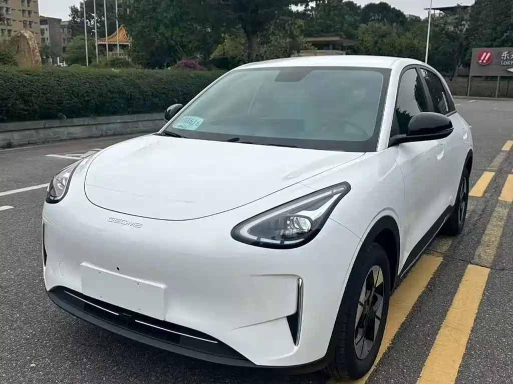Geely Galaxy Starry Wish 2026 Model 310km Dream Edition фото 2