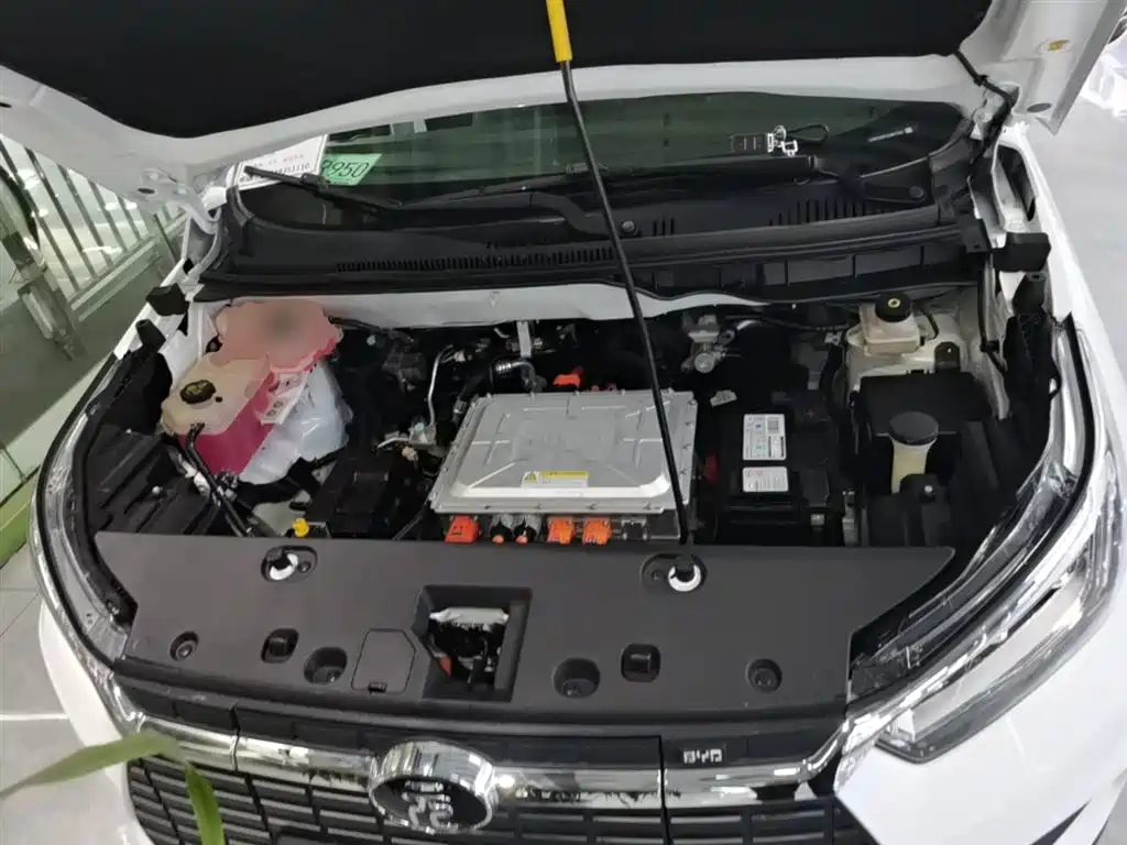 BYD Yuan New Energy 2019 EV535 Smart Connected Trend Leader Type фото 20