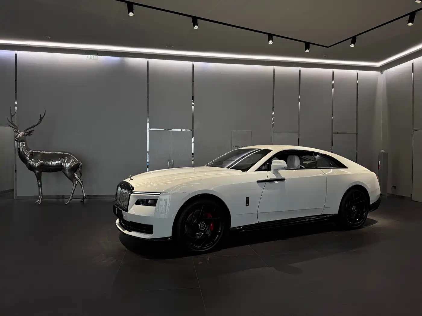 Rolls-Royce Spectre фото 4