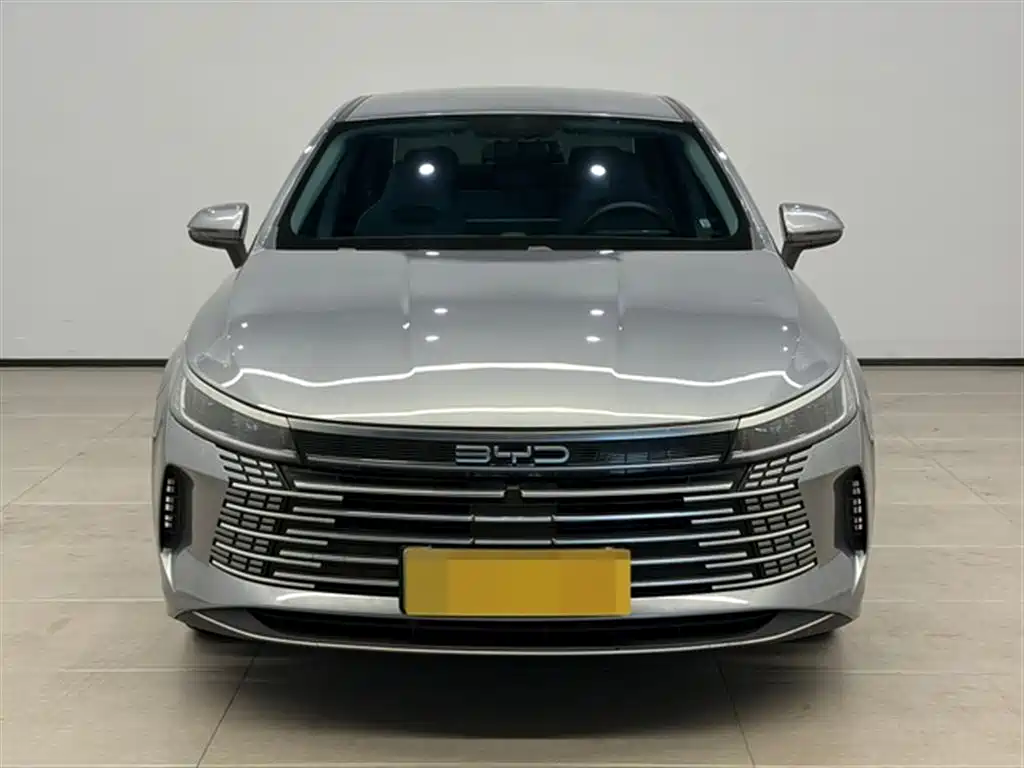 BYD Destroyer 05 2024 Glory Edition DM-i 55KM Luxury фото 2