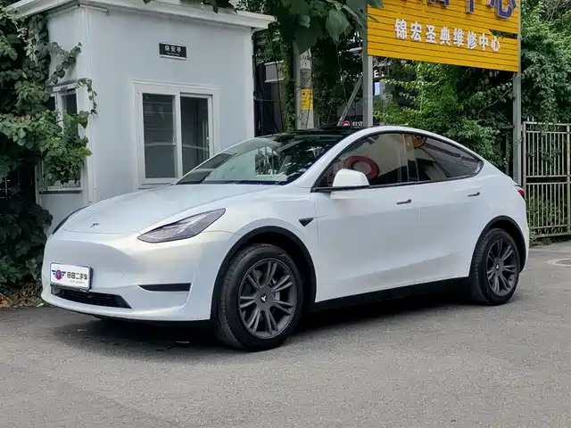 Tesla Model Y Задний привод