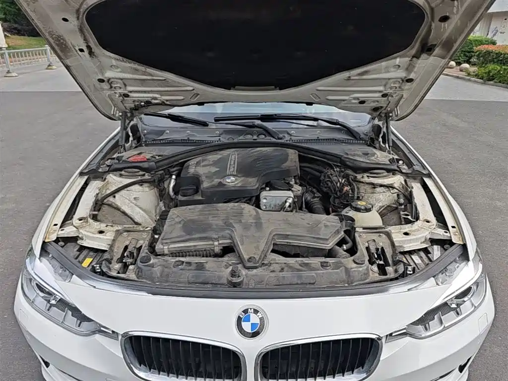 BMW 3 Series 2014 320Li Fashion фото 20