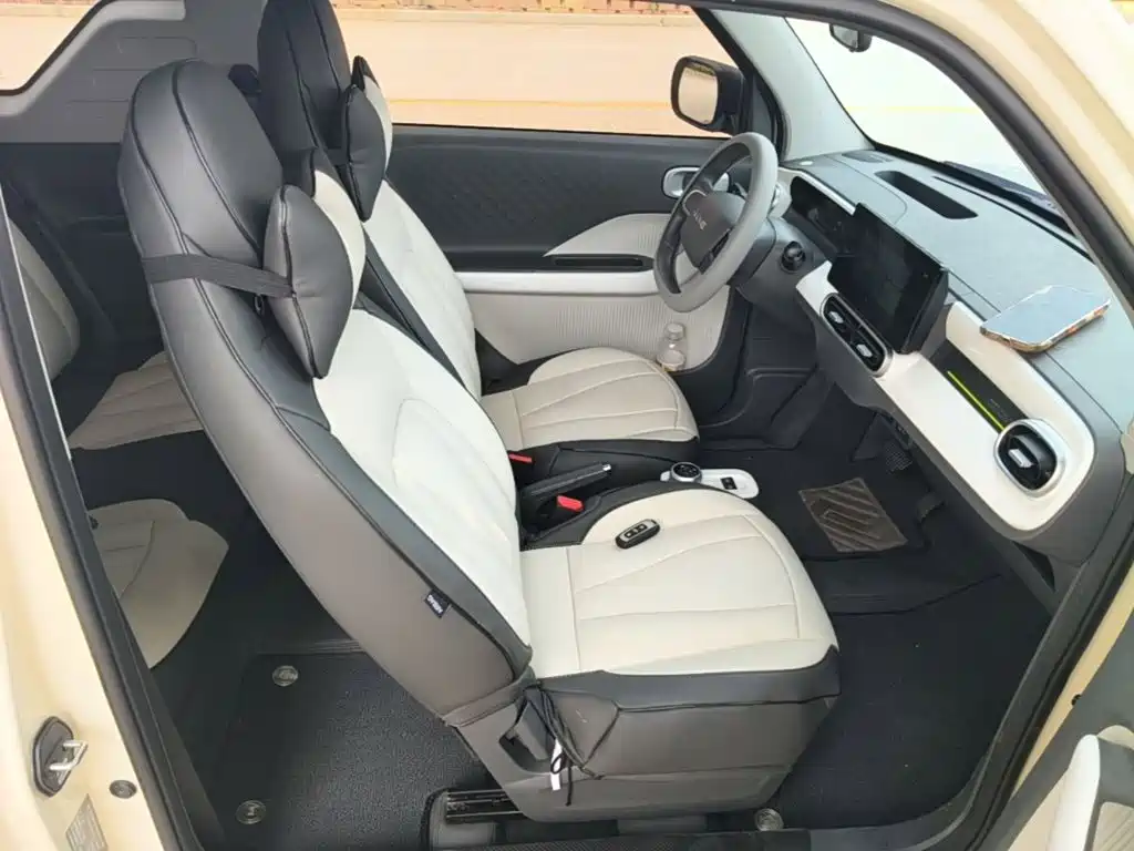 Geely Galaxy Panda 2026 2025 Panda mini 210km Vitality Bear