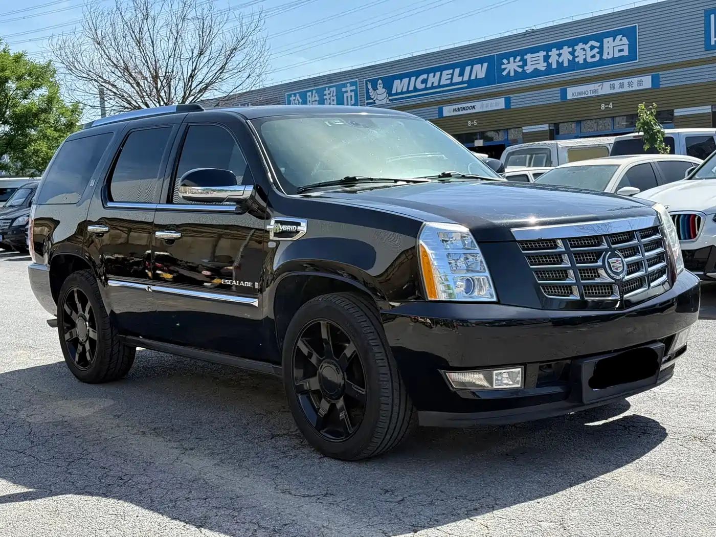 Cadillac Escalade 2010 6.0 Hybrid фото 3