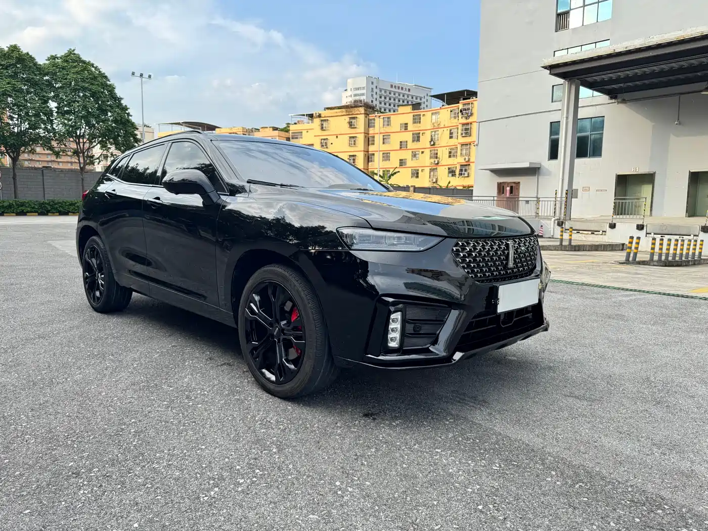 WEY VV7 2020 2020 Model 2.0T Flagship