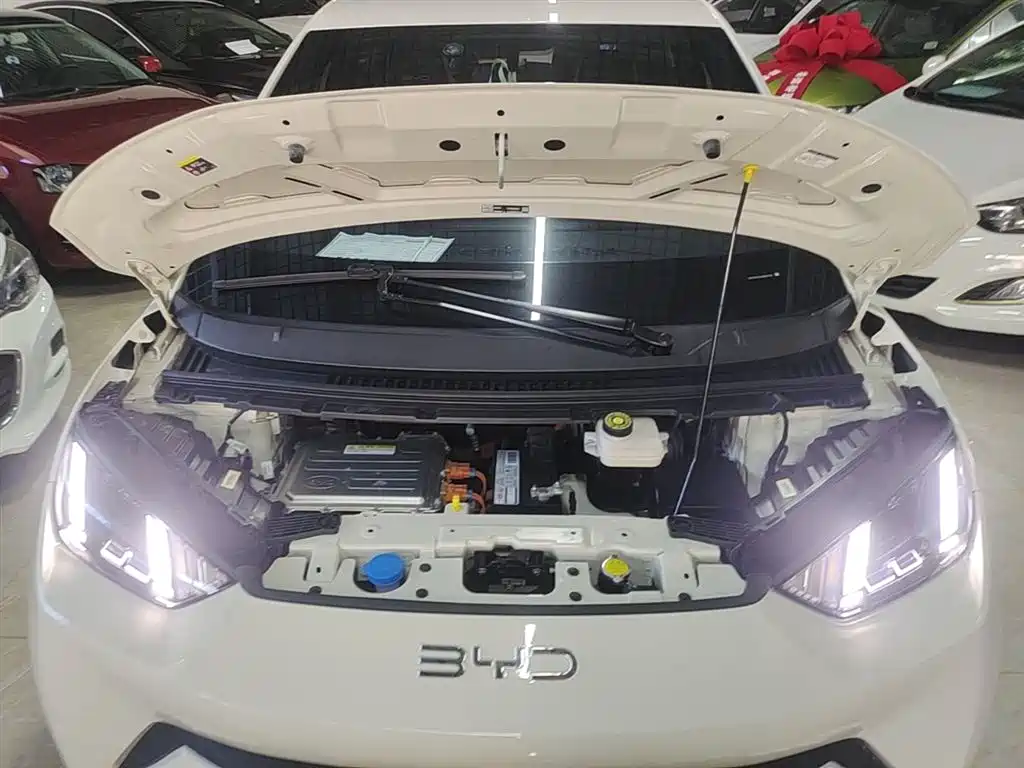BYD Seagull 2024 Glory Edition 405km Soaring Edition фото 20