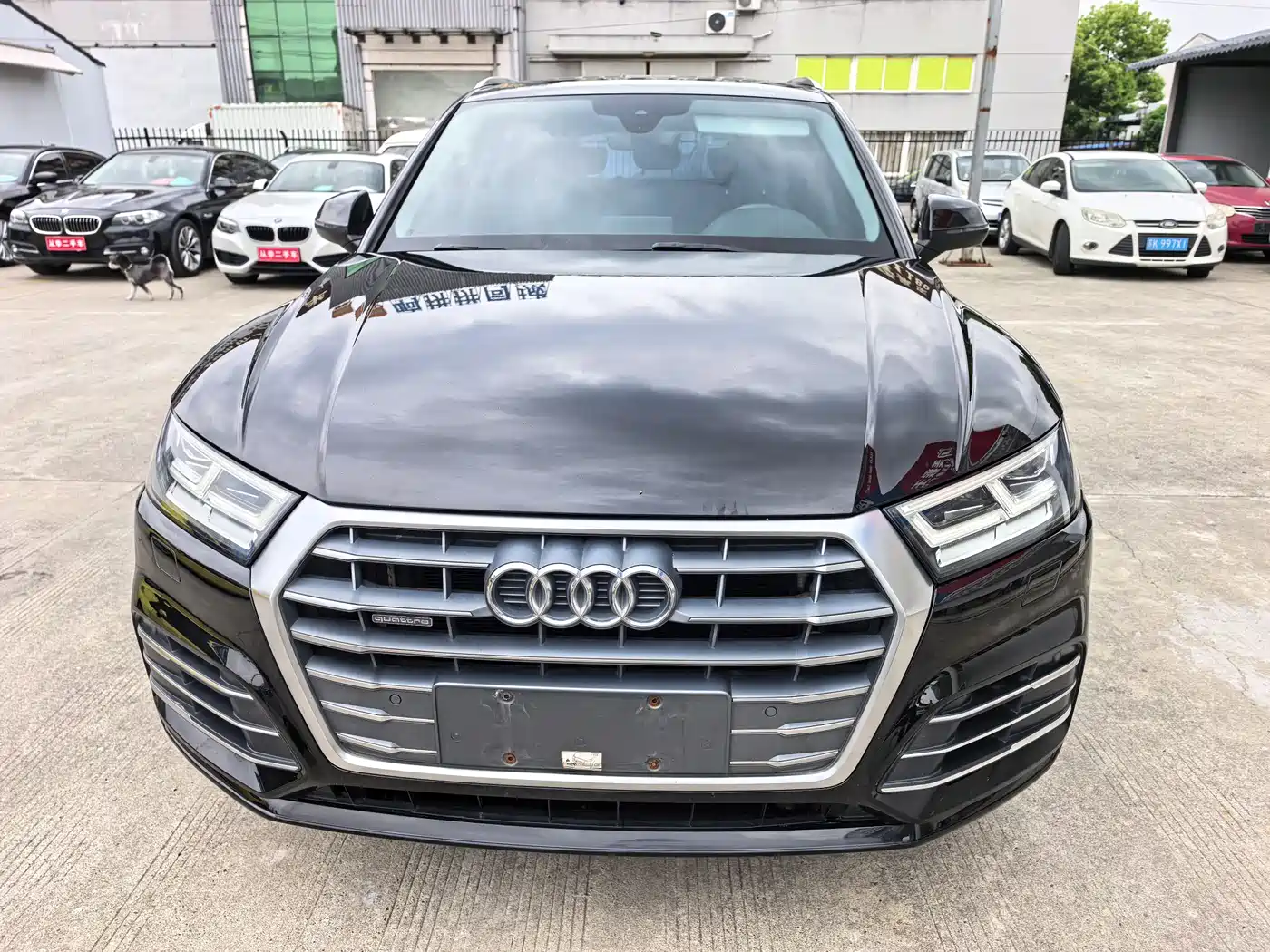 Audi Q5L 2018 40 TFSI Premium Fashion China VI фото 10