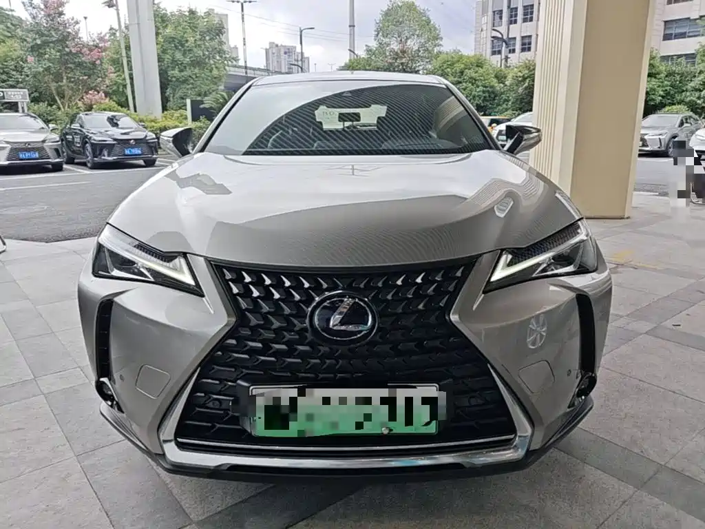 Lexus UX Electric 2021 2020 300e Pure Yue Edition
