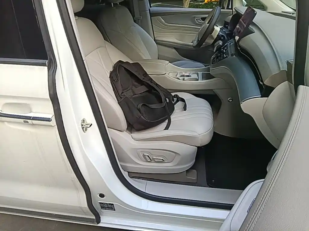 Photo 25 - Roewe iMAX8 EV
