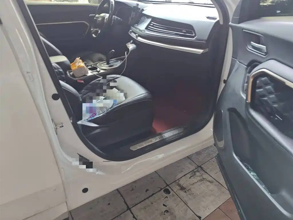 Haval H6 2020 1.5GDIT Automatic Platinum Champion Edition фото 22