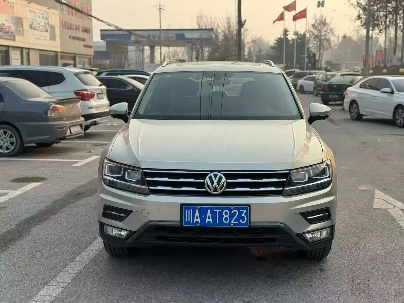 Volkswagen Tiguan L 2017 330TSI Automatic 2WD Luxury Edition фото 2