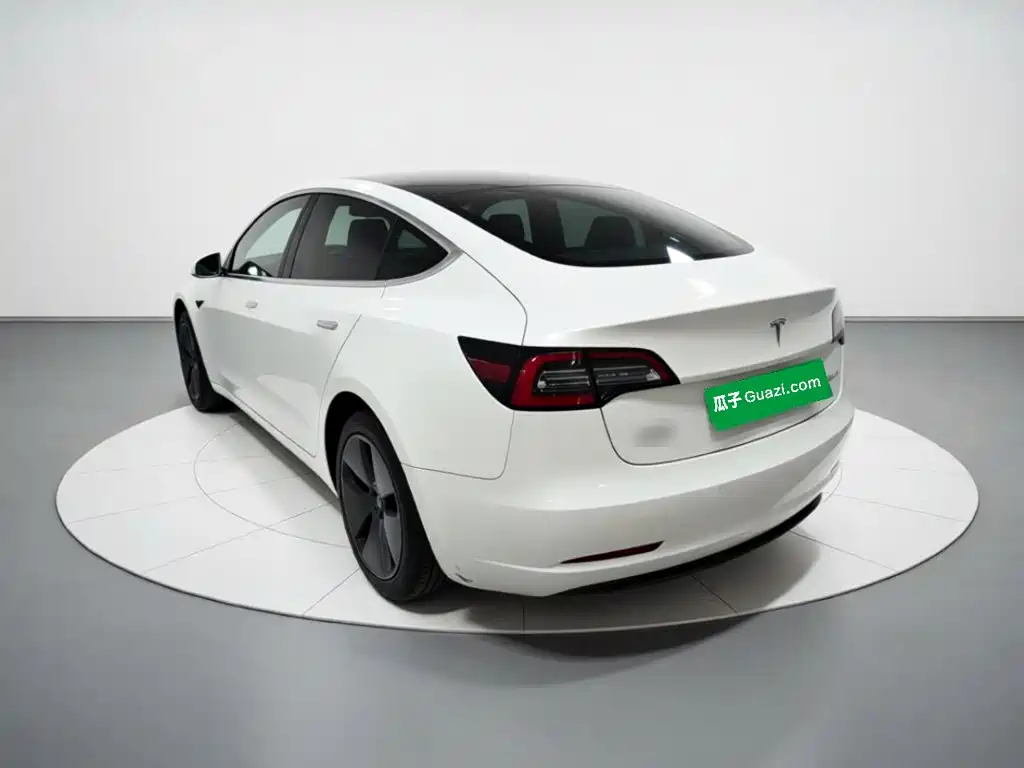 Tesla Model 3 2020 2020 Standard Range Rear-Wheel Drive Upgrade