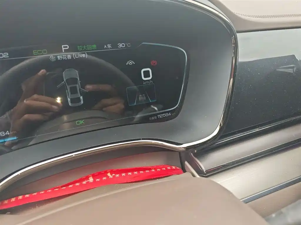 BYD Han 2021 EV Standard Range Luxury фото 5