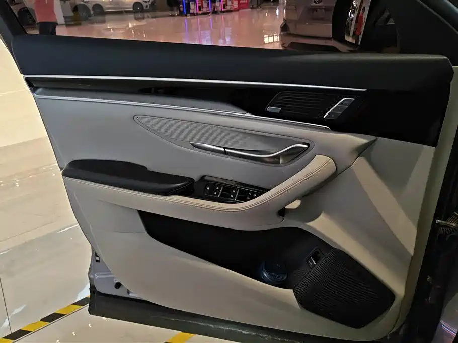 BYD Song PLUS PHEV 2021 EV Flagship фото 7