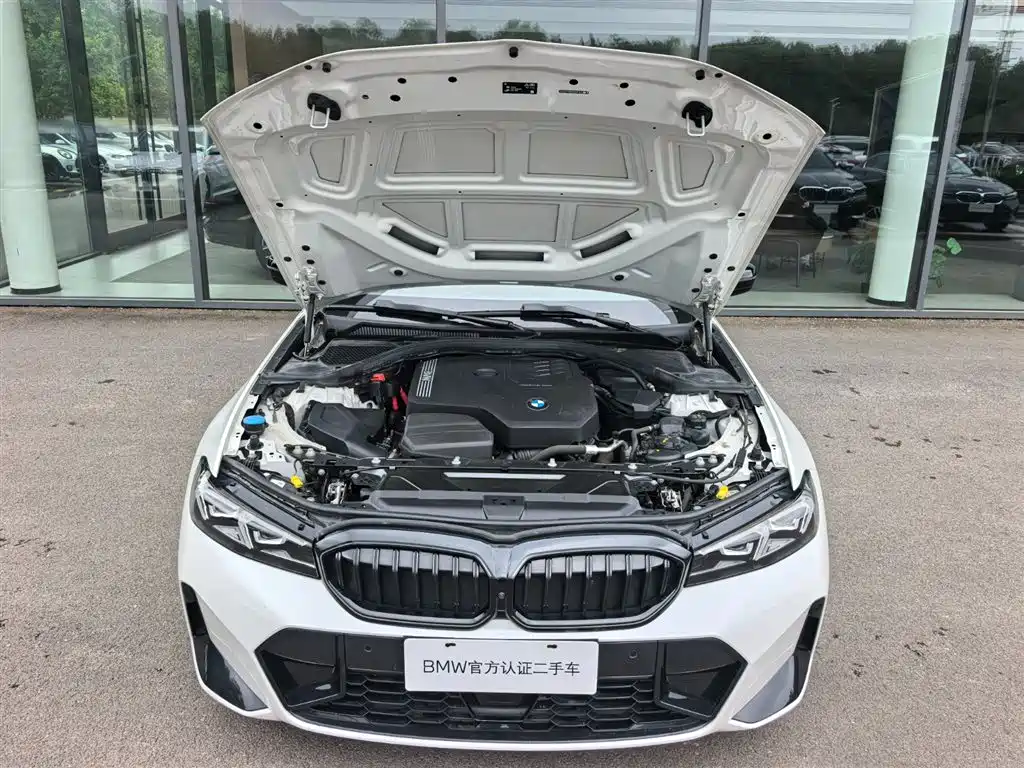 BMW 3 Series 2025 330Li M Sport Night Edition фото 21