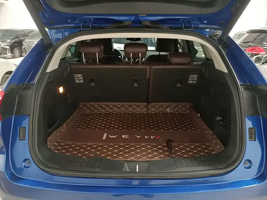 WEY VV5 2018 2017 2.0T Super Luxury Model