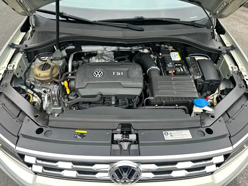 صورة 17 - Volkswagen Tiguan L