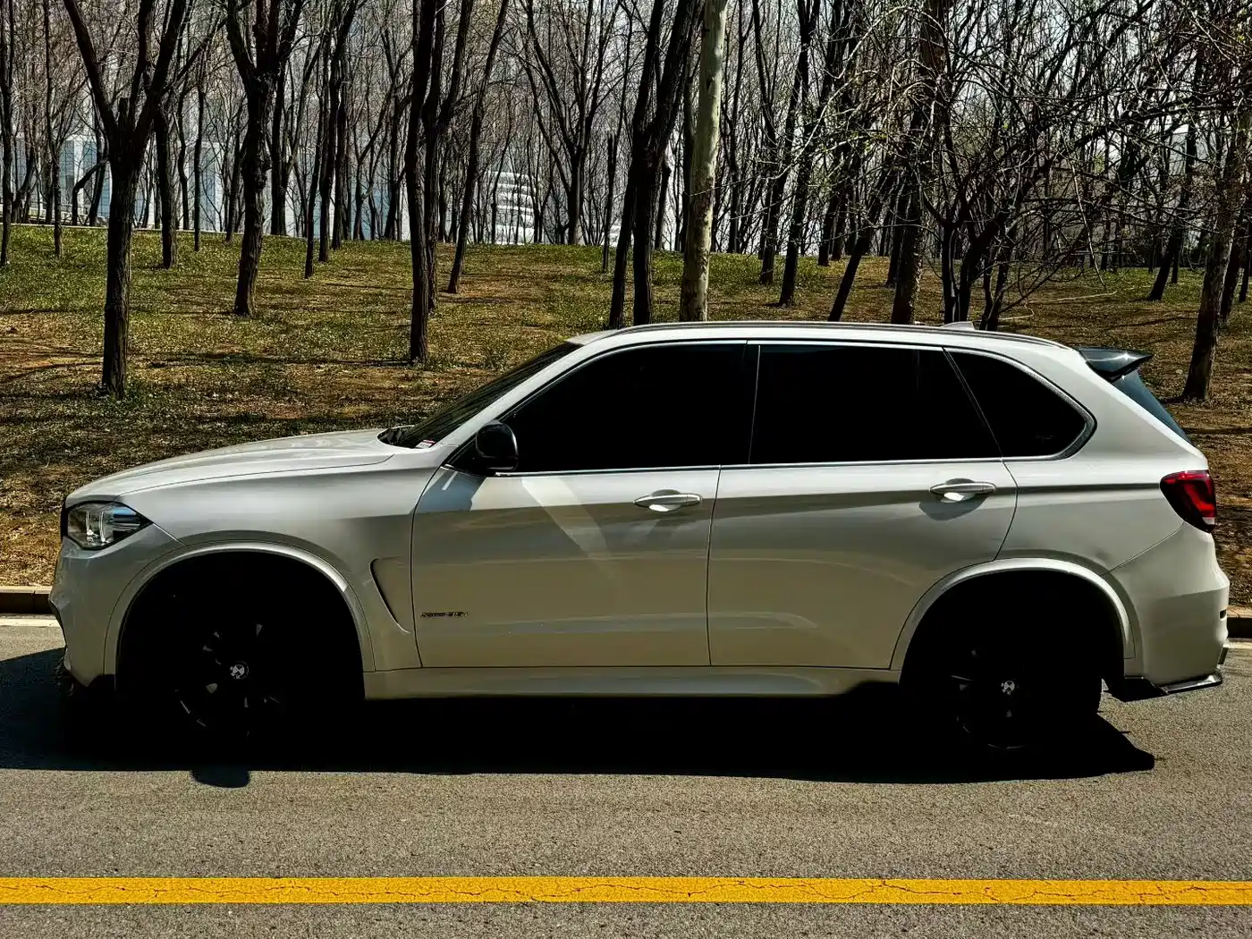 BMW X5 (Import) 2014 xDrive35i Leading фото 8