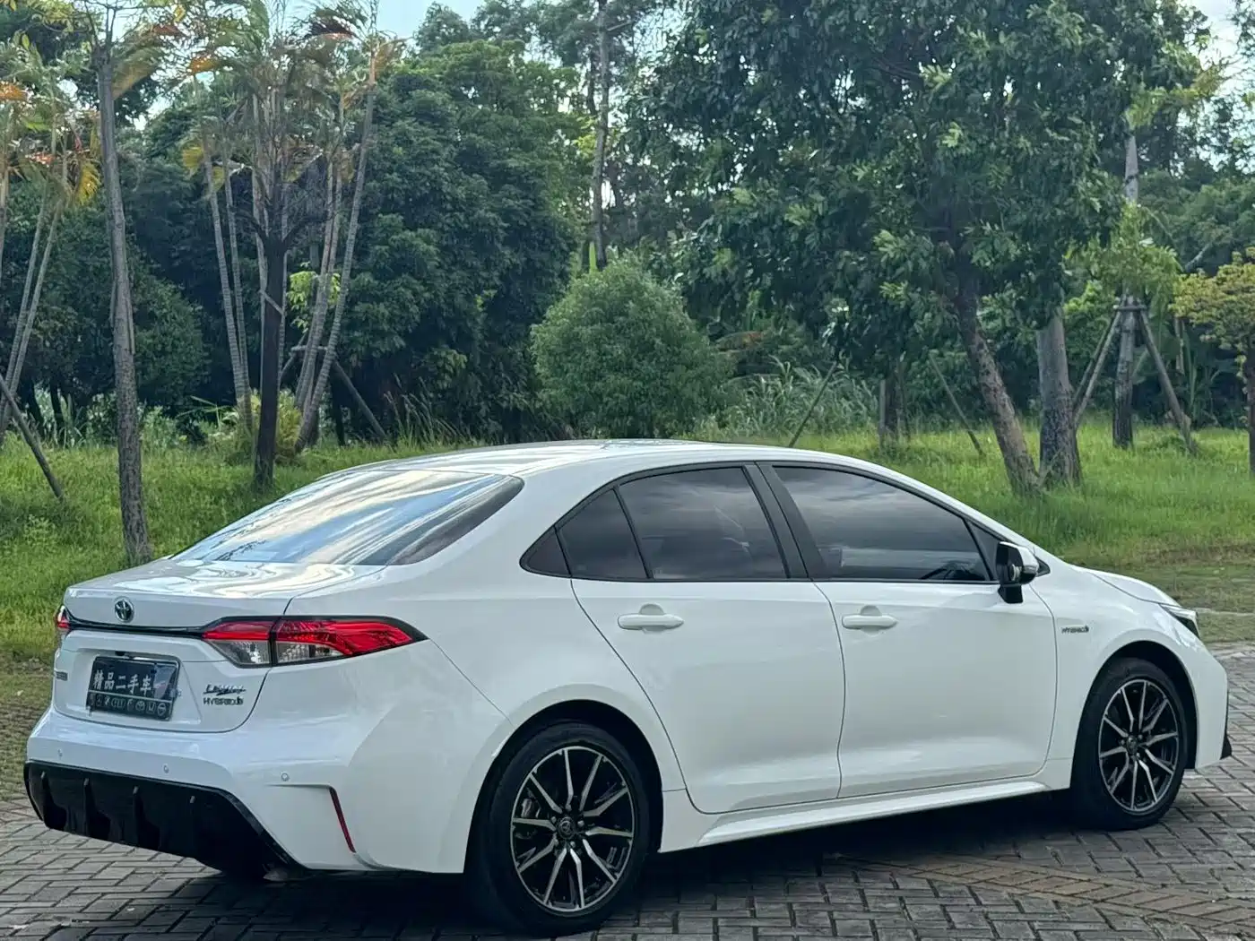 Фото 5 - Toyota Levin