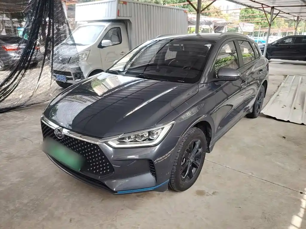 BYD e2 2021 2020 Upgraded Long Range Luxury
