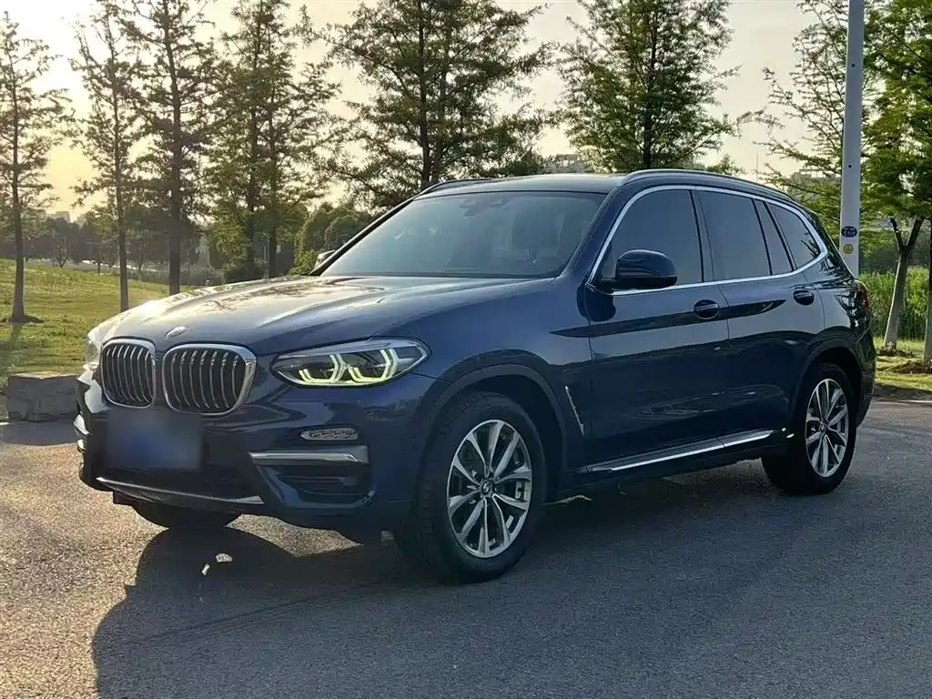 BMW X3 2018 xDrive25i Luxury Package China VI фото 2