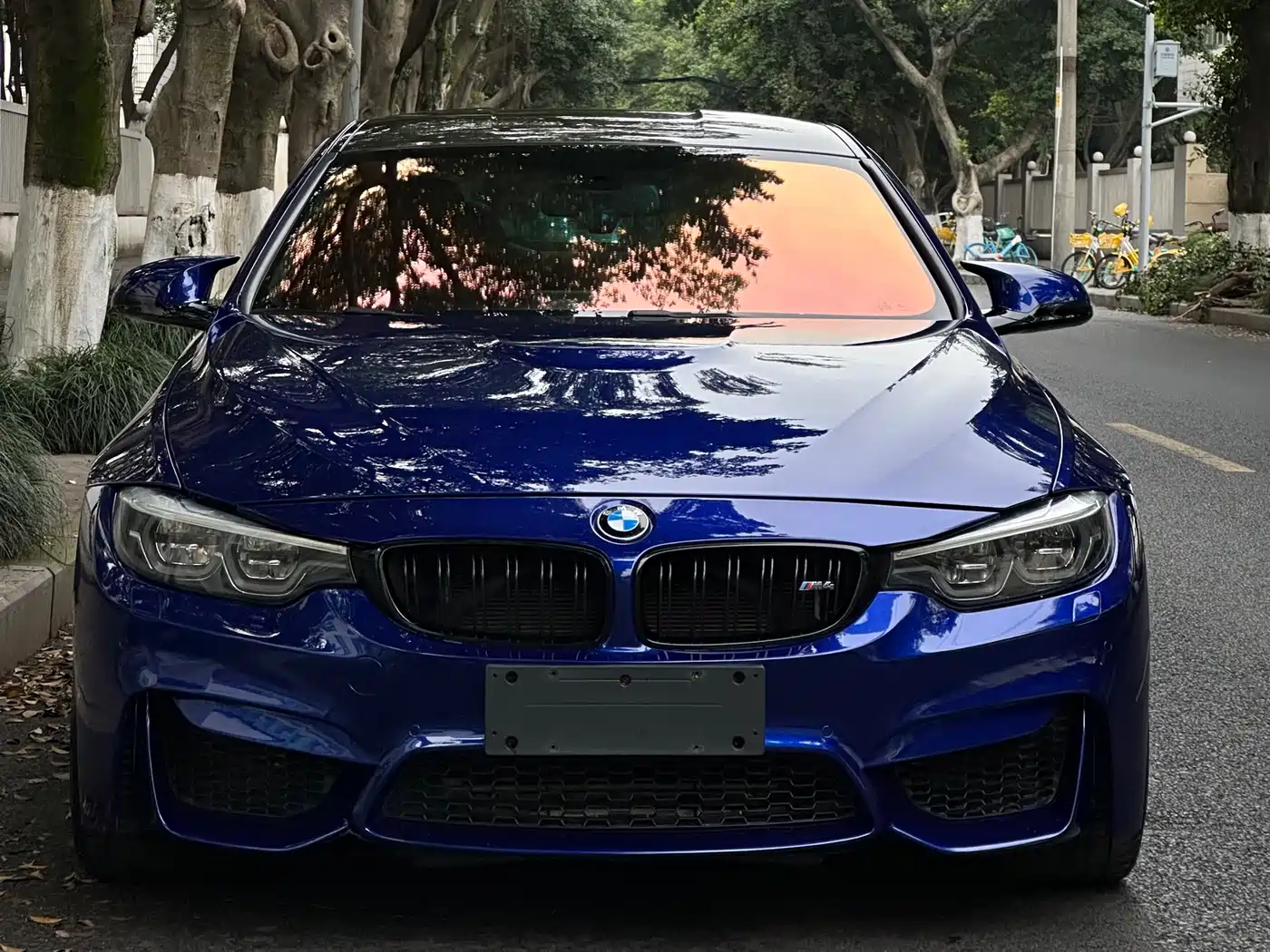 BMW M4 2018 M4 Convertible Coupe Fans Limited Edition фото 2