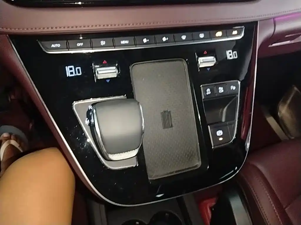 Hongqi HQ9 2023 2023 2.0T Smart Connect Flag Smooth Edition