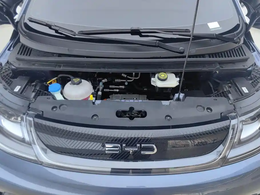 BYD Dolphin 2026 2025 420km Freedom Edition