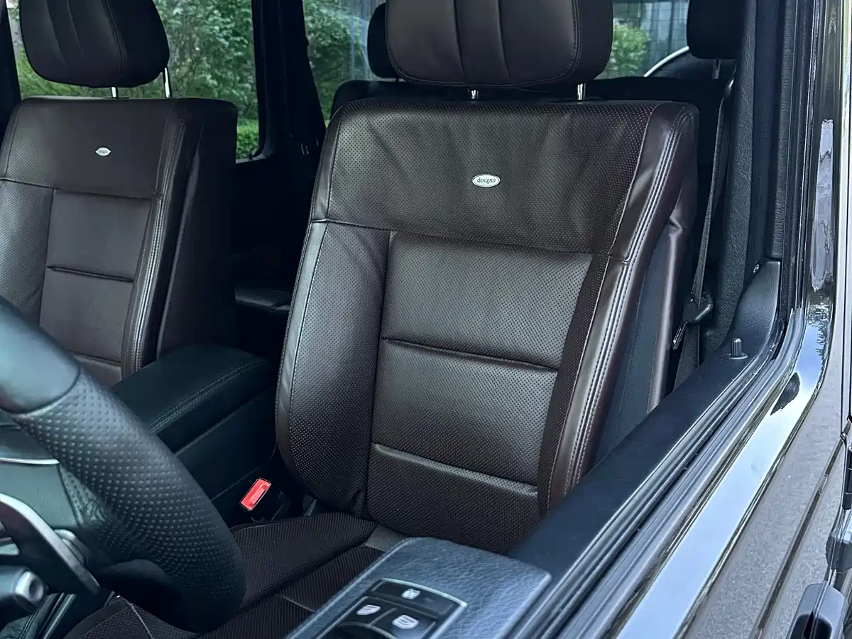 Mercedes-Benz G-Class 2016 G 500 фото 29