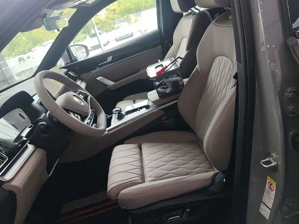 BYD Tang New Energy 2025 Smart Driving Edition DM-i 115KM Flagship фото 15