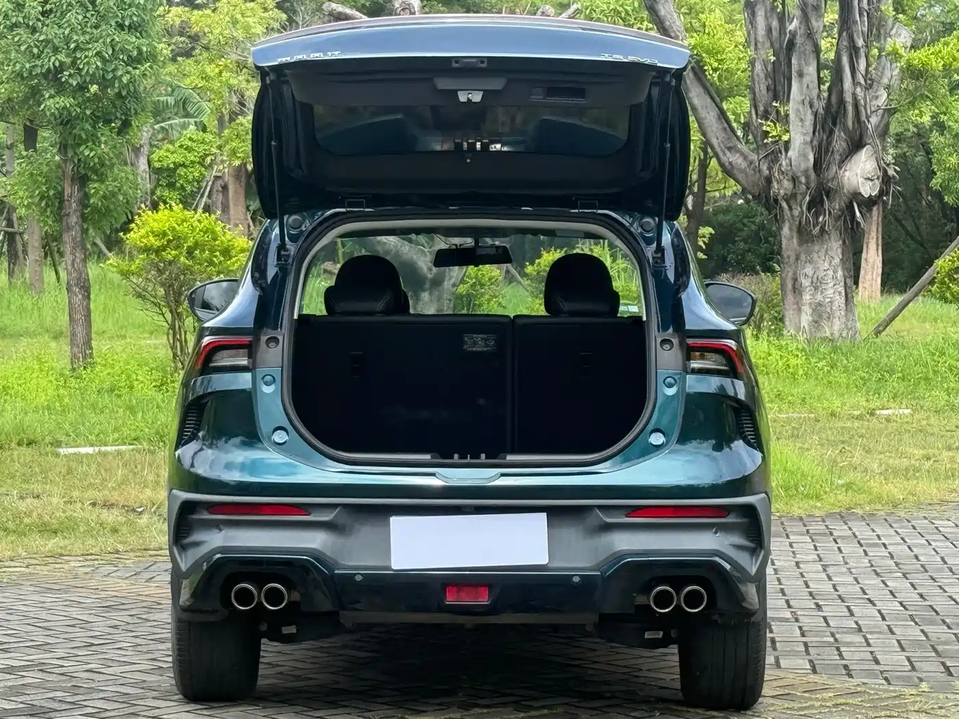 Dongfeng Fengxing Fengxing T5 EVO 2023 2024 1.5TD DCT Starry Sky Edition