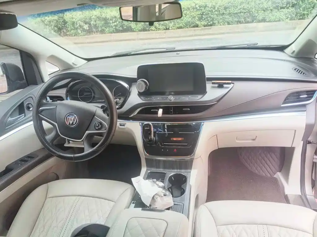 Buick GL8, миниатюра 12