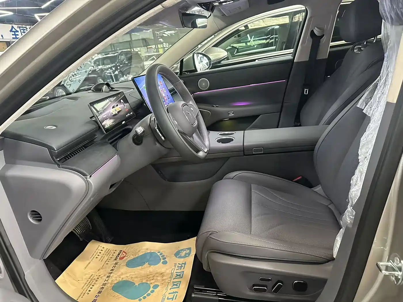 Voyah Auto VOYAH Zhuiguang L 2026 2025 Mid-configuration Model