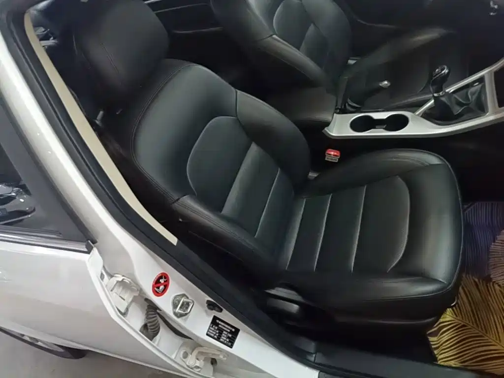 Фото 25 - Geely Vision