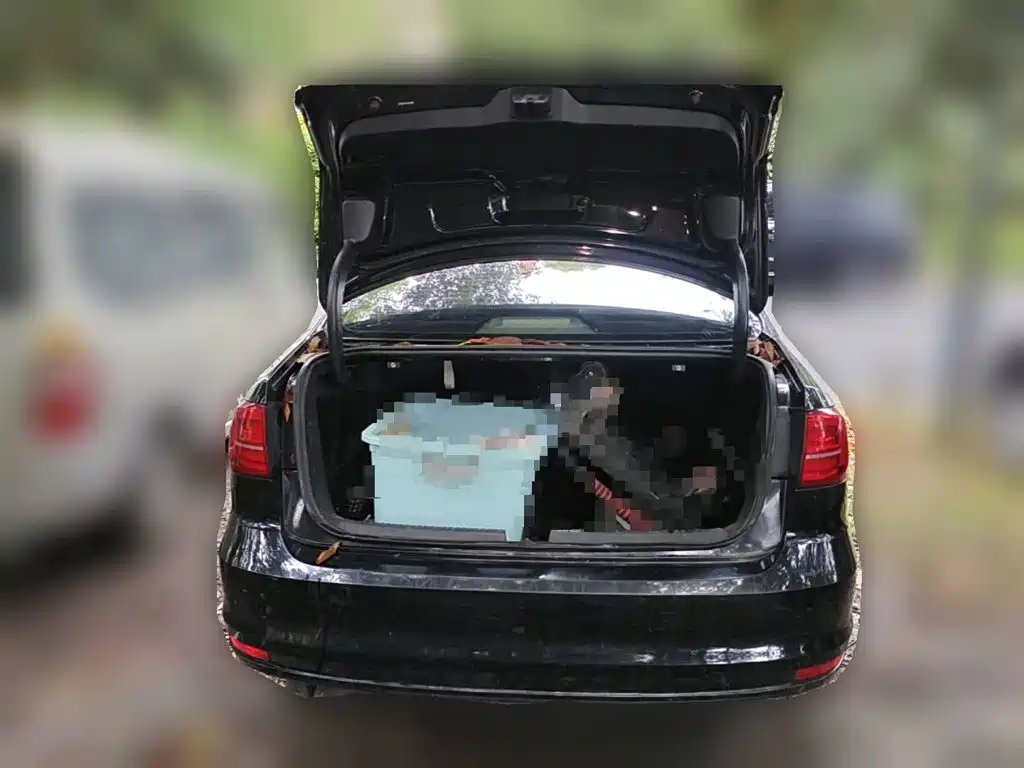 Photo 5 - Volkswagen Sagitar