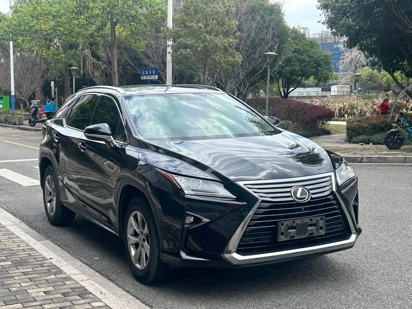 LEXUS RX