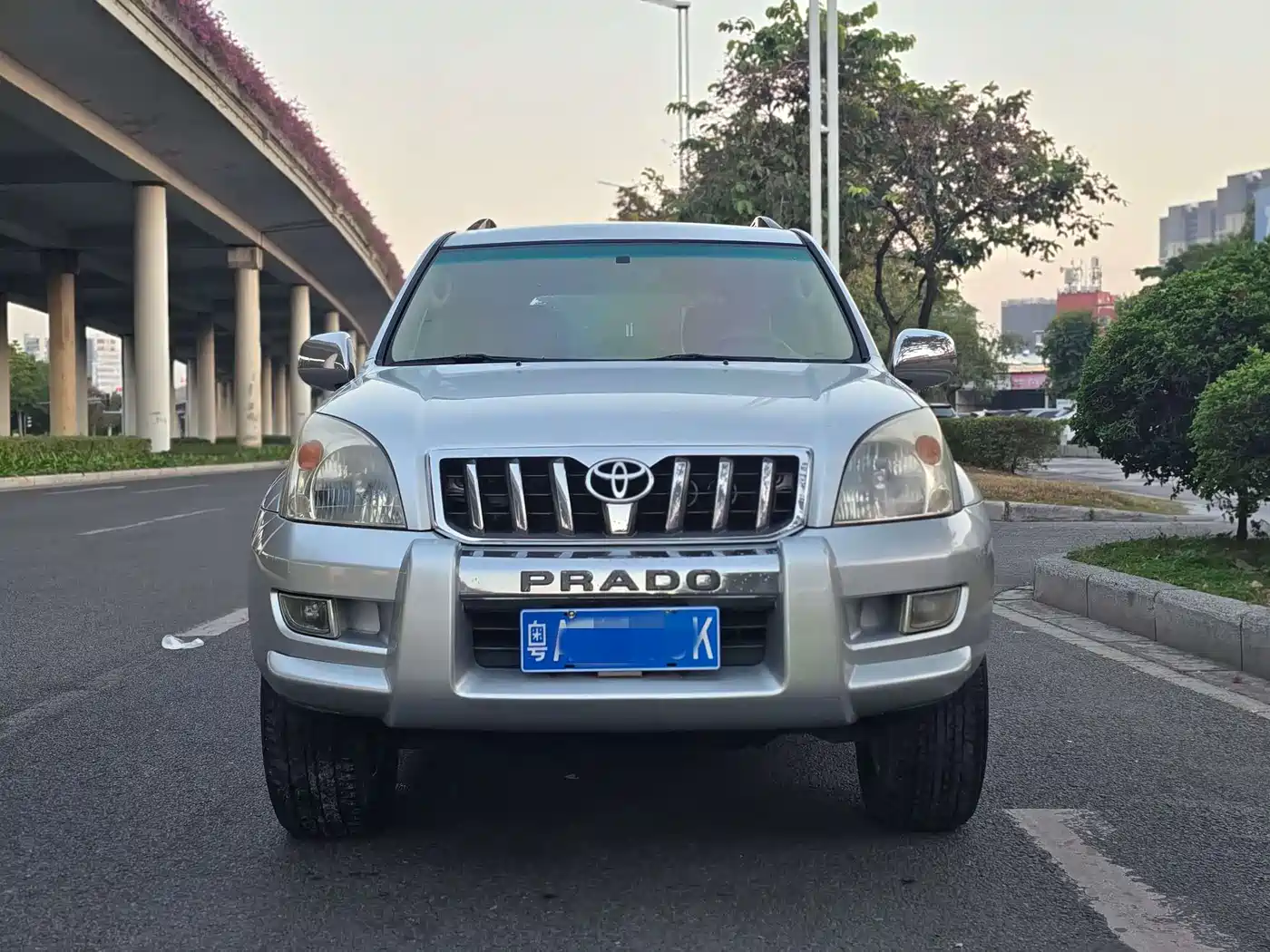 Toyota Prado (Import) фото 2